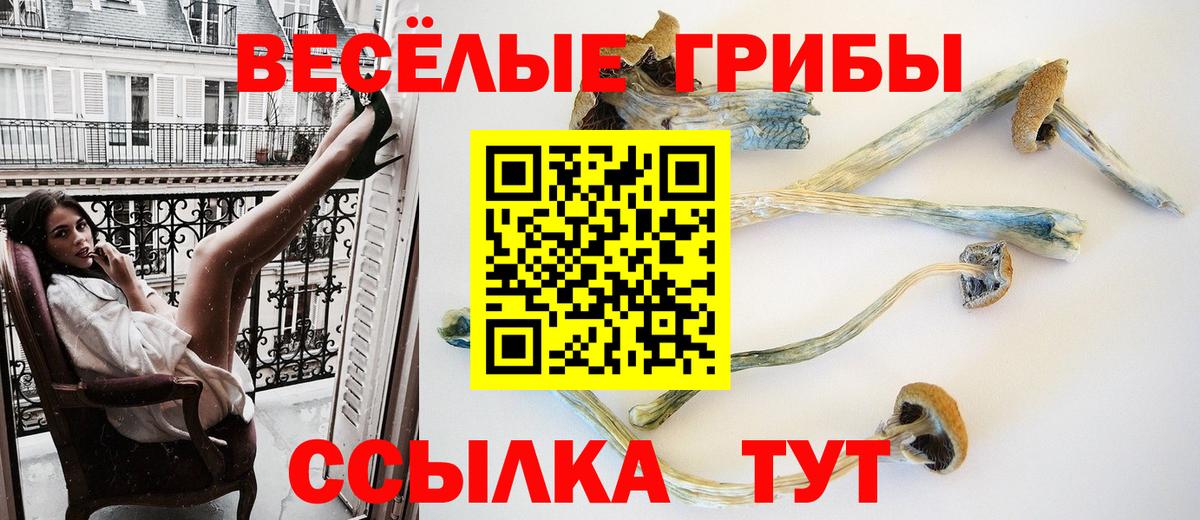 Псилоцибиновые грибы MAGIC MUSHROOMS Сертолово