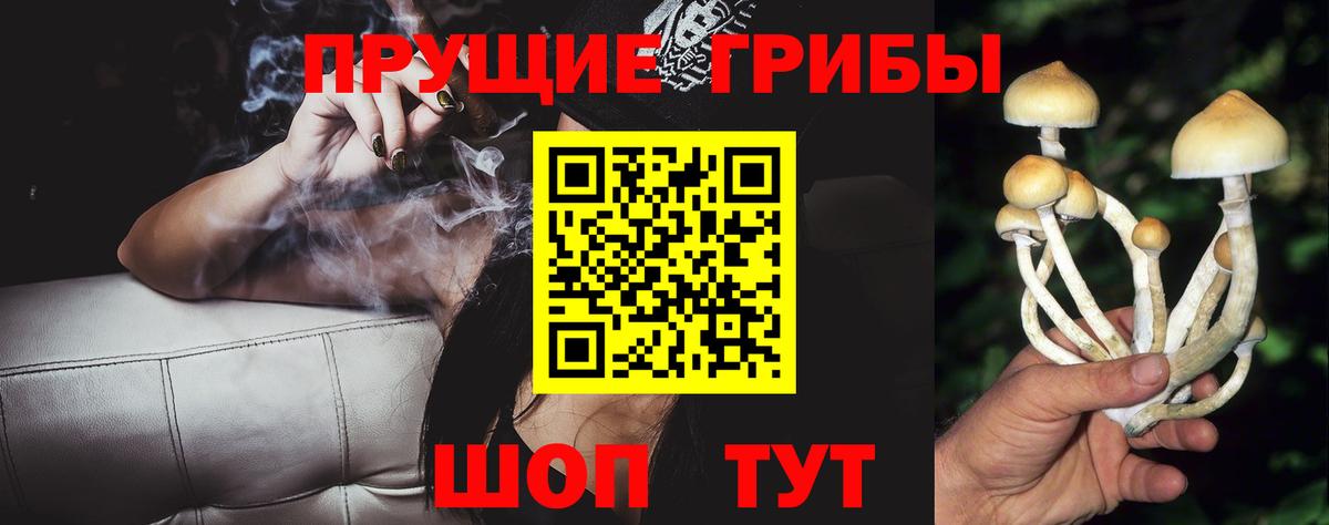 Галлюциногенные грибы Magic Shrooms  Галлюциногенные грибы Psilocybe  Сертолово  Вход с VPN 